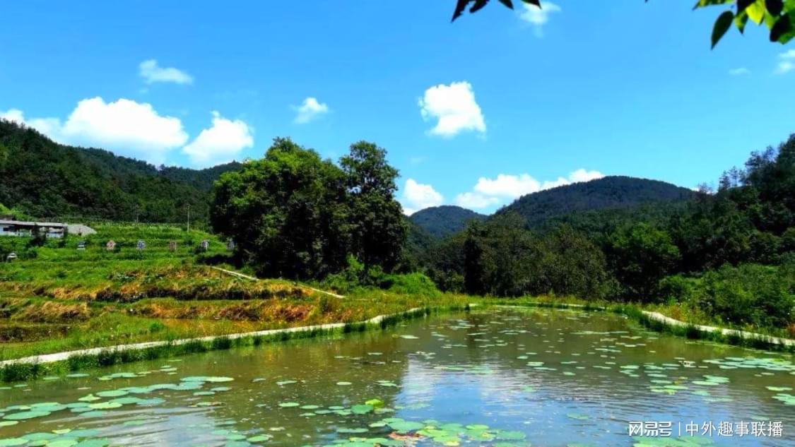 商家曝女子网购内衣半年后买新退旧