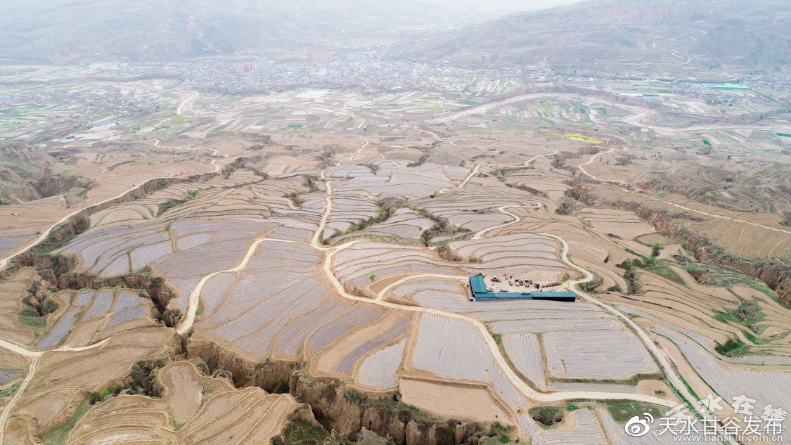 刘诗诗新剧淮竹BGM适配度